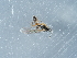  ( - NHMUK014425613)  @11 [ ] Unspecified (default): All Rights Reserved  Unspecified Unspecified