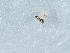  ( - NHMUK014425656)  @11 [ ] Unspecified (default): All Rights Reserved  Unspecified Unspecified