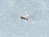  ( - NHMUK014425656)  @11 [ ] Unspecified (default): All Rights Reserved  Unspecified Unspecified