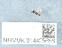  ( - NHMUK014425656)  @11 [ ] Unspecified (default): All Rights Reserved  Unspecified Unspecified