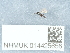  ( - NHMUK014425656)  @11 [ ] Unspecified (default): All Rights Reserved  Unspecified Unspecified
