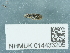  ( - NHMUK014433205)  @11 [ ] Unspecified (default): All Rights Reserved  Unspecified Unspecified