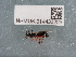  ( - NHMUK014433225)  @11 [ ] Unspecified (default): All Rights Reserved  Unspecified Unspecified