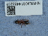  ( - NHMUK014433269)  @11 [ ] Unspecified (default): All Rights Reserved  Unspecified Unspecified