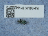  ( - NHMUK014433272)  @11 [ ] Unspecified (default): All Rights Reserved  Unspecified Unspecified