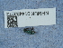  ( - NHMUK014433272)  @11 [ ] Unspecified (default): All Rights Reserved  Unspecified Unspecified