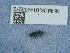  ( - NHMUK014433272)  @11 [ ] Unspecified (default): All Rights Reserved  Unspecified Unspecified