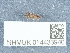  ( - NHMUK014433940)  @11 [ ] Unspecified (default): All Rights Reserved  Unspecified Unspecified