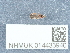  ( - NHMUK014433940)  @11 [ ] Unspecified (default): All Rights Reserved  Unspecified Unspecified