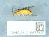 ( - NHMUK014433957)  @11 [ ] Unspecified (default): All Rights Reserved  Unspecified Unspecified