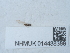  ( - NHMUK014438388)  @11 [ ] Unspecified (default): All Rights Reserved  Unspecified Unspecified