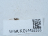  ( - NHMUK014438388)  @11 [ ] Unspecified (default): All Rights Reserved  Unspecified Unspecified