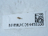  ( - NHMUK014438390)  @11 [ ] Unspecified (default): All Rights Reserved  Unspecified Unspecified
