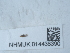 ( - NHMUK014438390)  @11 [ ] Unspecified (default): All Rights Reserved  Unspecified Unspecified