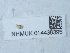  ( - NHMUK014438395)  @11 [ ] Unspecified (default): All Rights Reserved  Unspecified Unspecified