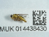  ( - NHMUK014438430)  @11 [ ] Unspecified (default): All Rights Reserved  Unspecified Unspecified
