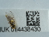  ( - NHMUK014438430)  @11 [ ] Unspecified (default): All Rights Reserved  Unspecified Unspecified