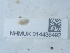  ( - NHMUK014438492)  @11 [ ] Unspecified (default): All Rights Reserved  Unspecified Unspecified