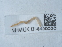  ( - NHMUK014438533)  @11 [ ] Unspecified (default): All Rights Reserved  Unspecified Unspecified