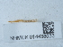  ( - NHMUK014438533)  @11 [ ] Unspecified (default): All Rights Reserved  Unspecified Unspecified