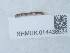  ( - NHMUK014438534)  @11 [ ] Unspecified (default): All Rights Reserved  Unspecified Unspecified