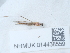  ( - NHMUK014438559)  @11 [ ] Unspecified (default): All Rights Reserved  Unspecified Unspecified