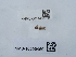  ( - NHMUK014438733)  @11 [ ] Unspecified (default): All Rights Reserved  Unspecified Unspecified