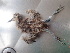  ( - NHMUK014438764)  @11 [ ] Unspecified (default): All Rights Reserved  Unspecified Unspecified