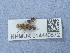  ( - NHMUK014440572)  @11 [ ] Unspecified (default): All Rights Reserved  Unspecified Unspecified