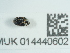  ( - NHMUK014440602)  @11 [ ] Unspecified (default): All Rights Reserved  Unspecified Unspecified