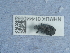  ( - NHMUK014440668)  @11 [ ] Unspecified (default): All Rights Reserved  Unspecified Unspecified