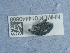  ( - NHMUK014440668)  @11 [ ] Unspecified (default): All Rights Reserved  Unspecified Unspecified