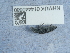  ( - NHMUK014440680)  @11 [ ] Unspecified (default): All Rights Reserved  Unspecified Unspecified