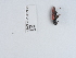  ( - NHMUK014440683)  @11 [ ] Unspecified (default): All Rights Reserved  Unspecified Unspecified