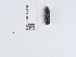  ( - NHMUK014440683)  @11 [ ] Unspecified (default): All Rights Reserved  Unspecified Unspecified