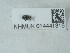  ( - NHMUK014441316)  @11 [ ] Unspecified (default): All Rights Reserved  Unspecified Unspecified