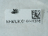  ( - NHMUK014441316)  @11 [ ] Unspecified (default): All Rights Reserved  Unspecified Unspecified