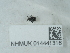  ( - NHMUK014441316)  @11 [ ] Unspecified (default): All Rights Reserved  Unspecified Unspecified