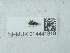  ( - NHMUK014441319)  @11 [ ] Unspecified (default): All Rights Reserved  Unspecified Unspecified