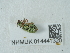  ( - NHMUK014441320)  @11 [ ] Unspecified (default): All Rights Reserved  Unspecified Unspecified