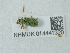  ( - NHMUK014441320)  @11 [ ] Unspecified (default): All Rights Reserved  Unspecified Unspecified