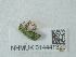  ( - NHMUK014441320)  @11 [ ] Unspecified (default): All Rights Reserved  Unspecified Unspecified