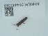  ( - NHMUK014442083)  @11 [ ] Unspecified (default): All Rights Reserved  Unspecified Unspecified