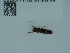  ( - NHMUK014442083)  @11 [ ] Unspecified (default): All Rights Reserved  Unspecified Unspecified