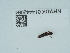  ( - NHMUK014442084)  @11 [ ] Unspecified (default): All Rights Reserved  Unspecified Unspecified