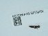  ( - NHMUK014442084)  @11 [ ] Unspecified (default): All Rights Reserved  Unspecified Unspecified