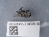  ( - NHMUK014444889)  @11 [ ] Unspecified (default): All Rights Reserved  Unspecified Unspecified