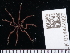  ( - NHMUK014444927)  @11 [ ] Unspecified (default): All Rights Reserved  Unspecified Unspecified