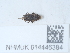  ( - NHMUK014446384)  @11 [ ] Unspecified (default): All Rights Reserved  Unspecified Unspecified
