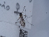  ( - NHMUK014446904)  @11 [ ] Unspecified (default): All Rights Reserved  Unspecified Unspecified
